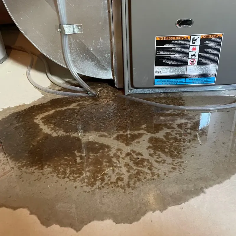 Pipe Burst and Leak Restoration in The Hideout, PA