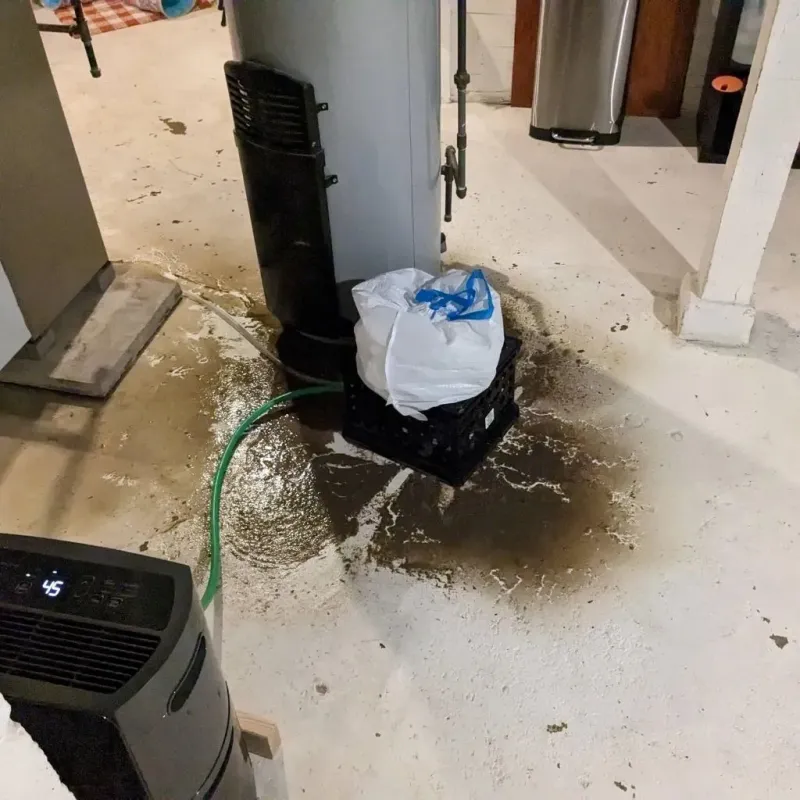 Sewage Backup Cleanup Service in The Hideout, PA